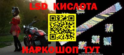 прущие грибы Балаково