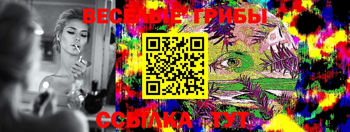Воронеж  Псилоцибиновые грибы Cubensis  Вход с VPN 