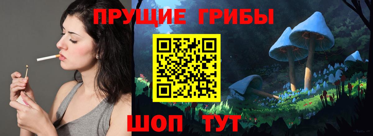Псилоцибиновые грибы Cubensis Воронеж